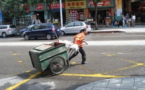 保洁员(从事公共区域环境及设施清洁保养的人员)