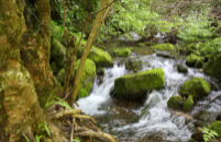 秦岭山脉(中国中部山脉)
