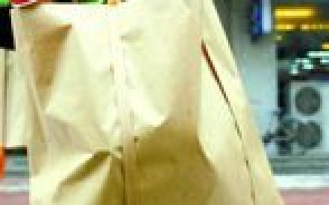 限塑令(国家政策)