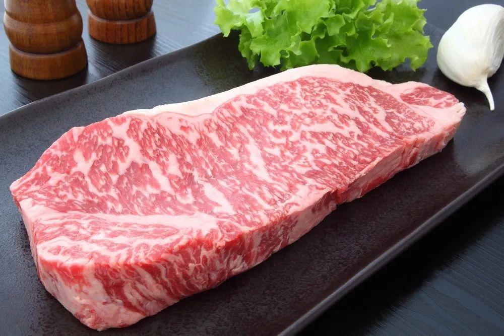 和牛(洞角科动物)