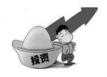 贵金属投资(金融投资)