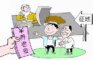 失地农民养老保险(旨在保障失地农民的权益)