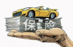 汽车商业险(机动车商业保险)