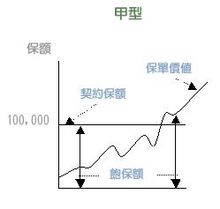 投资型保险(创新型寿险)