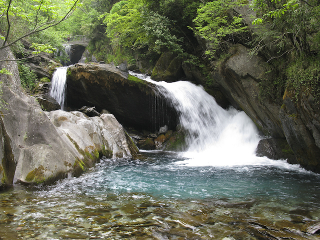 神龙架风景区(中国5A级旅游景区)