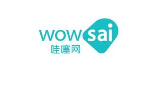 哇噻网(科技网站)