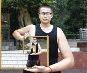 德罗斯特效应(视觉形式)