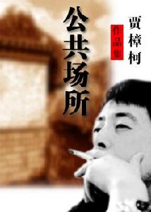 公共场所(供公众从事社会生活的各种场所)