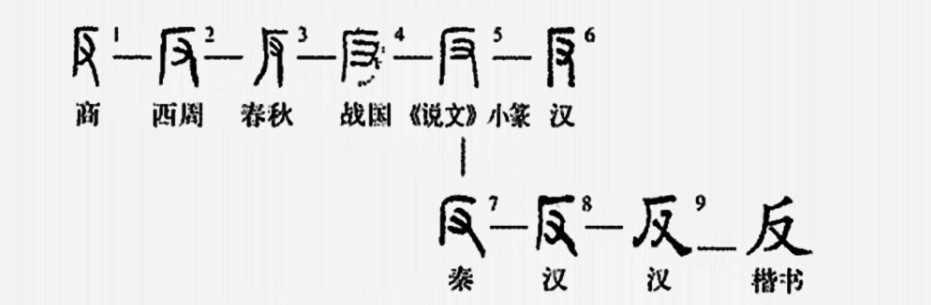反(汉语汉字)