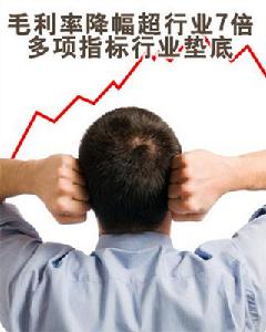 毛利率(毛利与销售收入的百分比)
