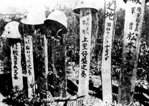 万家岭大捷(抗战时期唯一全歼日本整师团战役)