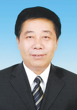 陈宝生(全国政协文化文史和学习委员会副主任)