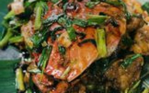 珍宝蟹(甲壳纲十足目珍宝蟹种动物)