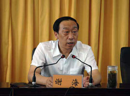 谢海(山西省人大常委会农村工作委员会原主任)