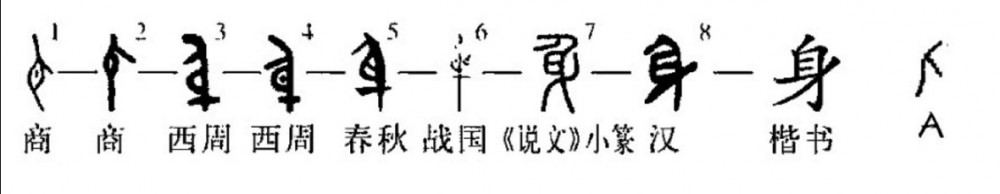 身(汉语汉字)