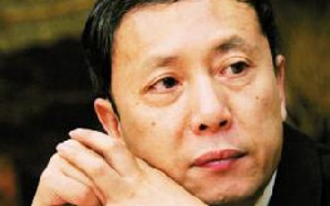 刘易斯转折点(2008年社会科学文献出版社出版的图书)