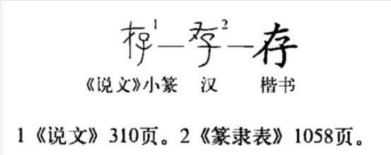 存(汉语汉字)
