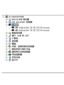 双核(双CPU处理器)