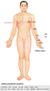 心包经(人体经脉)