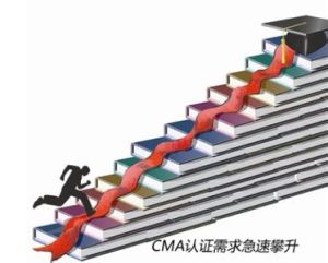 审计师(公司的高级职员)