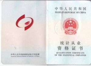 统计师(统计专业技术资格实行全国统一考试制度)