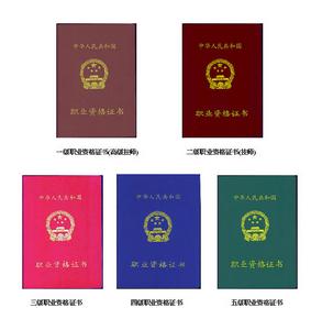 职业资格证(表明劳动者具有从事某一职业所必备的证明)