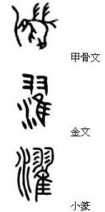 濯(汉语汉字)