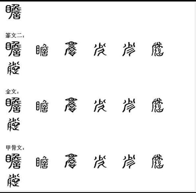 瞻(汉语汉字)