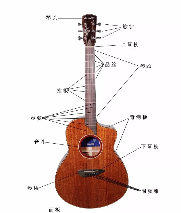 吉他(弹拨乐器)