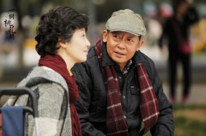 一树桃花开(2016年王瑞执导电视剧)