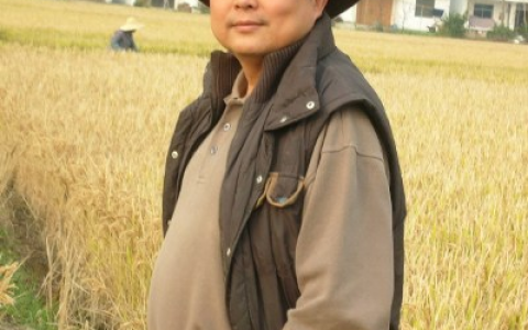 张炎夏(上海金廊现代农业发展有限公司董事长)