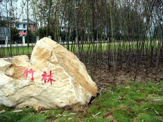 安徽旅游职业学院(安徽省阜阳市民办高校)