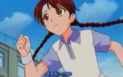 龙崎樱乃(动漫作品《网球王子》的女主角)