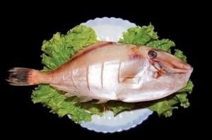 扒皮鱼(海产鱼类)