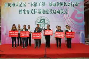 幸福工程(救助贫困母亲行动)