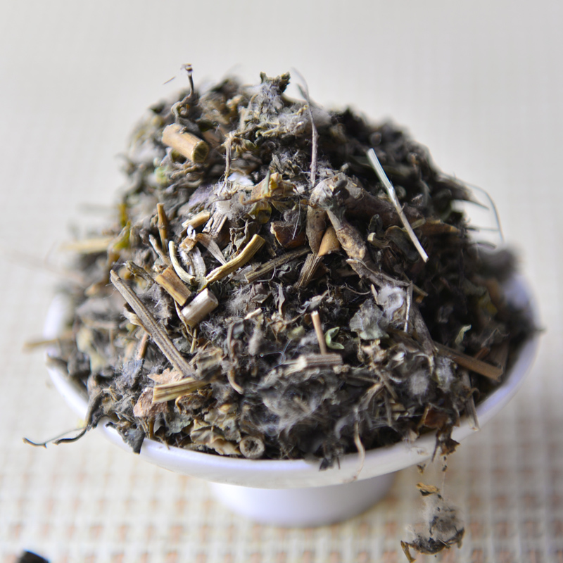 泽漆(大戟科植物)