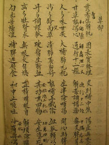 批注(汉语词语)