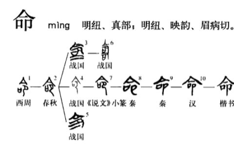 命(汉语汉字)