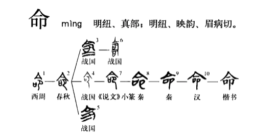 命(汉语汉字)