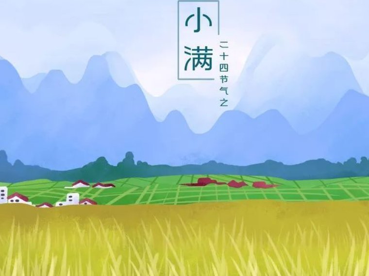 小满(二十四节气之一)
