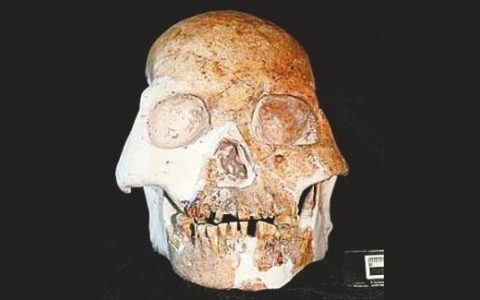 马鹿洞人(史前人类)