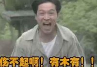 咆哮体(流行于网络的文体)
