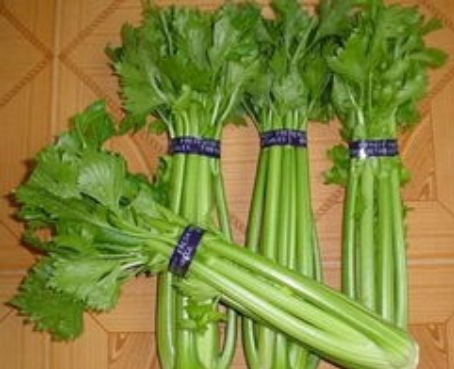 西芹(蔬菜的一种)