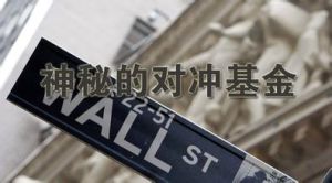 对冲(金融学术语)