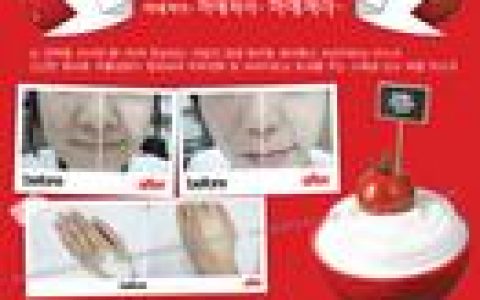 魔法森林(一部以魔术为主要元素的舞台童话剧)