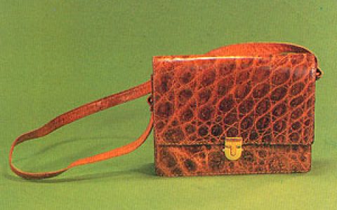 鳄鱼皮包(奢侈品牌)