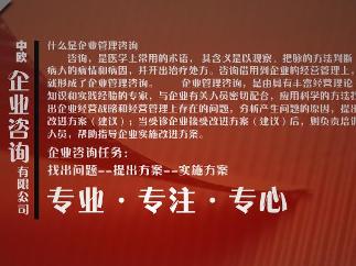 企业咨询(提高企业的管理水平和经济效益)