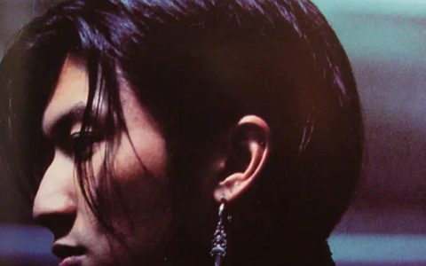 2002(2001年叶伟信Wilson Yip执导的电影)