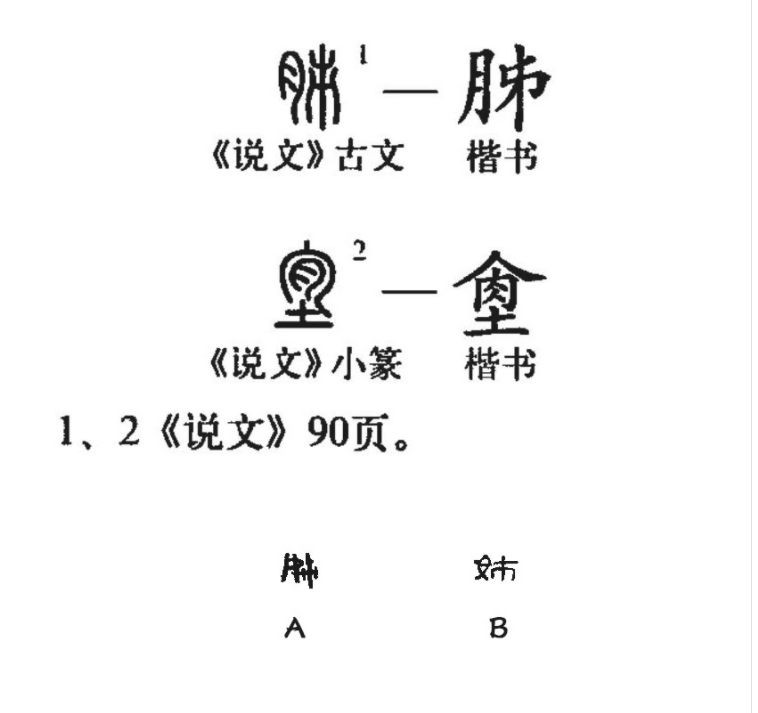 姊(汉语汉字)