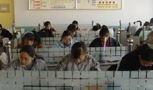 会计电算化(会计学下属学科)